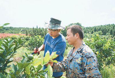 上高人才市场最新招聘动态全面解析