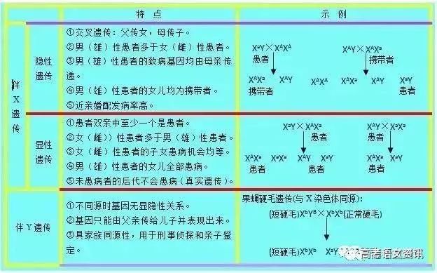 新澳门精准四肖期期中特公开｜实用技巧与详细解析