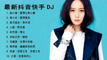 快手最新DJ歌曲席卷音乐界